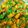 Umme Ahmad's cooksnap of when they made Carrots, Peas & Potatoes Bhujiya.