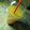 @Rahma Barde's cooksnap of when they made Cucumber and ginger drinks.