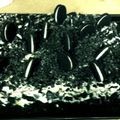 liddocooker's cooksnap of when they made Pudding Cake.