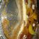 El cooksnap de Susana Guillermina Pérez Garcia cuando hizo Pay de queso.