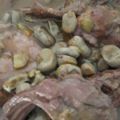El cooksnap de Julián Izquierdo González cuando hizo Estofado de conejo y habitas.
