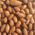 صورة من ام نرمين ونور ، شاركها بعد تجربة وصفة أصابع زينب 😋