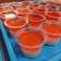 Cooksnap dari adila prabasiwi untuk resep Puding Jelly Strawberry Merah Putih
