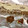 Dawnann68s's cooksnap of when they made Nutty Choco Date delight.