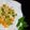 Raliya Rabiu's cooksnap of when they made Corn Salad.