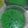Cooksnap dari may zee untuk resep Puding lumut hijau pandan