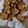 trentsprecher13's cooksnap of when they made Baked crab ragoons.