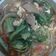 Cooksnap dari ARIA untuk resep Cah Kailan