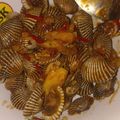 Cooksnap dari Soso Diva untuk resep Kerang Dara Saus Asam Manis