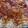 El cooksnap de Miriam Crespo cuando hizo Salsa fileto.