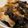 Cooksnap dari ekitchen untuk resep Braised Chicken Wings