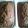 Pamela's cooksnap of when they made Nonno's zucchini bread.