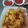 Cooksnap của Hà Lửa khi họ làm theo món Calamari (Mực chiên giòn)