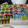 El cooksnap de victoria sanguinet cuando hizo Cookies decoradas.