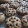 Cooksnap από sofisak στη συνταγή Cowboy cookies - με βρώμη, σοκολατάκια, νιφάδες καρύδας και πεκάν