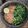 Cooksnap dari Amy Lean untuk resep Plecing Kangkung