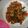 Cooksnap dari lenih untuk resep Oseng - Oseng Udang Tahu