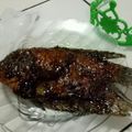 Cooksnap dari Mama Aila untuk resep Ikan Bakar Lezat sekejap