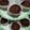 El cooksnap de Violeta Cupa cuando hizo Cupcakes arbolitos de Navidad 🎄.