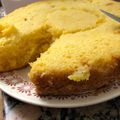 El cooksnap de romilla cuando hizo Torta de Mandarina en licuadora.