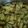 El cooksnap de Patricia Di Bitetto cuando hizo Compota de batata con canela.