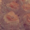 صورة من Cнєf Мiмi👩🏻‍🍳، شاركها بعد تجربة وصفة صابلي بغيستيج