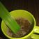 Cooksnap dari Puji Mpn mama Arfan - Irfan untuk resep Bajigur (#pr_recookmintradisional)