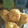 Cooksnap dari Tia SitiTropika untuk resep Tahu rambutan mantapp sederhana