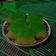 Cooksnap dari Ayoe Gallery untuk resep LAPIS SINGKONG