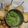 Hinal Dattani's cooksnap of when they made મગ ની દાળ ના અપ્પમ (Moong Dal Appam Recipe in Gujarati).