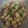 Cooksnap dari Yuanita Damayanti untuk resep Tumis Buncis Bakso