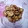 Cooksnap dari nduts untuk resep Terong Crispy