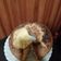 El cooksnap de Sabrina Gonzalez cuando hizo Torta licuada de mandarina.
