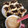 El cooksnap de Fat R cuando hizo Cookies con chocolate.