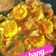 Cooksnap dari Iis Komala untuk resep #184.🦐🌶Udang Saus Padang