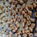 El cooksnap de Eduardo Oliveira cuando hizo Ñoquis de Calabaza.