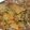 thakkarmahiiii's cooksnap of when they made વટાણા રીંગણાં બટાકા નું શાક.