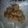 El cooksnap de María Araújo cuando hizo Galletas de avena manzana y pasas de uva.