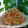 Cooksnap của QUÂN NGUYỄN khi họ làm theo món Chà bông heo