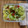 El cooksnap de lucia duran cuando hizo Ensalada de melón, pepino y tomate.