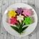 Cooksnap dari Hanindya untuk resep Apem Tepung Beras (No tape, No santan)