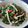 Cooksnap dari bundaKiyya untuk resep Simeji Brazil Spinach (Tumis Bayam Brazil Simeji) Kitchentaste