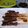 Cooksnap dari Fardiah Ummu Ali untuk resep Sate kambing tanpa bumbu kacang