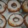 El cooksnap de stefani cossatti cuando hizo Rosquitas o Donas :).