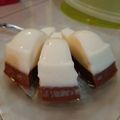 Cooksnap dari eva meylani untuk resep Puding susu + chocolatos