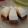 Cooksnap dari eva meylani untuk resep Puding susu + chocolatos