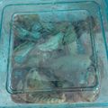 Cooksnap dari Ifa Salsabilla untuk resep Chiken wings oven