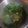 Cooksnap dari Dewi Fitriyani untuk resep Sayur Bening Kangkung