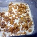 JT's cooksnap of when they made Fried Icecream!.