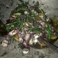 Cooksnap dari Linda Purwaningrum Sitompul untuk resep Cumi Basah Pete Saus Tiram